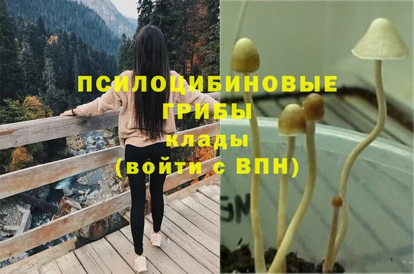 apvp Пересвет