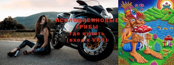 apvp Пересвет