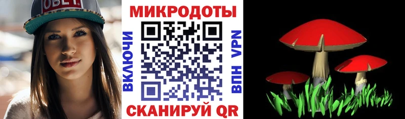 Купить  Тула  Галлюциногенные грибы Magic Shrooms 